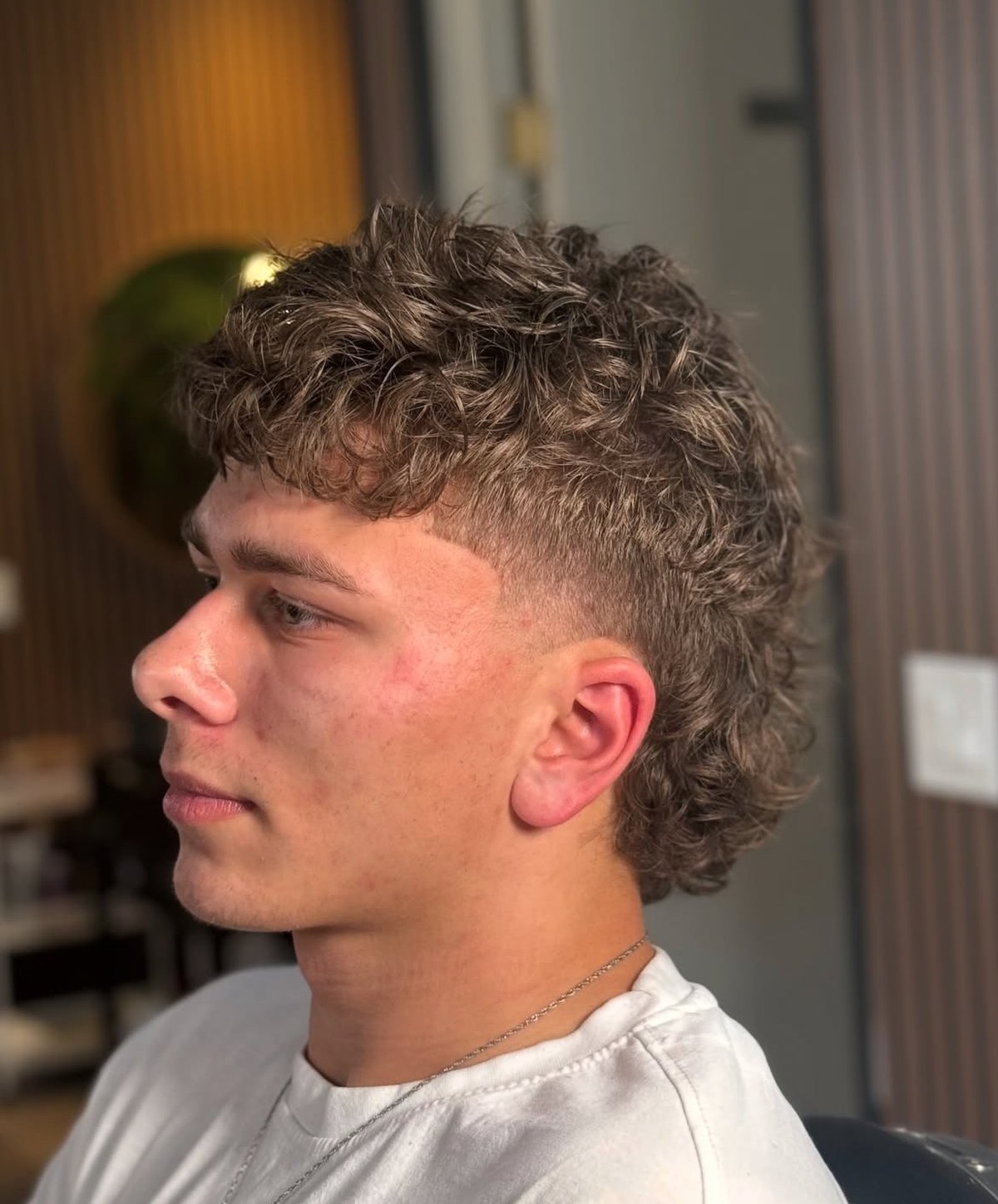 Modern Mullet